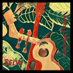 Descargar Allan J Martinez – Selva 2019