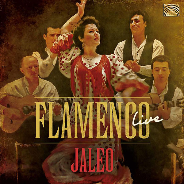 Descargar Jaleo - Flamenco (Live) 2020