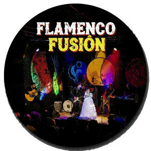 Flamenco Fusion